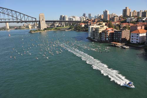 Bridge to Beach 2008 Bridge to Beach 2008